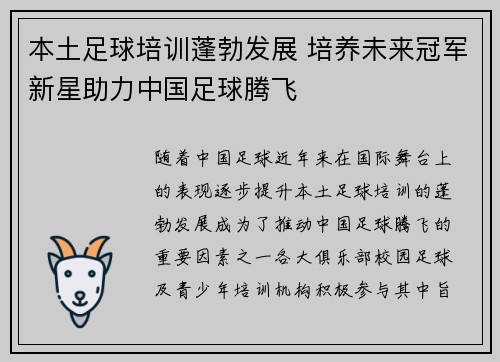 本土足球培训蓬勃发展 培养未来冠军新星助力中国足球腾飞