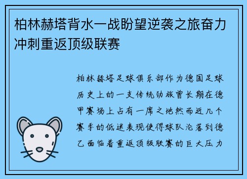 柏林赫塔背水一战盼望逆袭之旅奋力冲刺重返顶级联赛